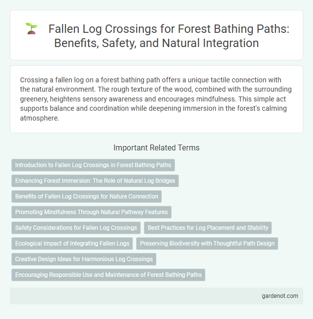 Fallen Log Crossings for Forest Bathing Paths: Benefits, Safety, and Natural Integration