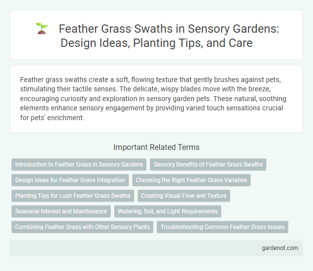 Feather Grass Swaths in Sensory Gardens: Design Ideas, Planting Tips, and Care