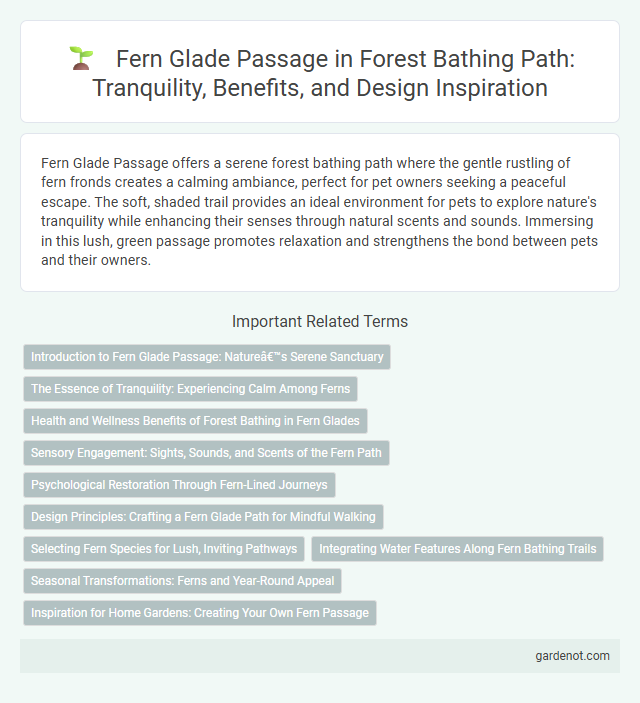 Fern Glade Passage in Forest Bathing Path: Tranquility, Benefits, and Design Inspiration