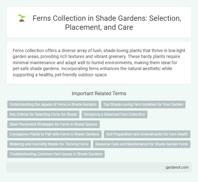 Ferns Collection in Shade Gardens: Selection, Placement, and Care