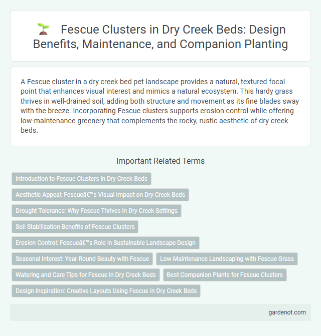 Fescue Clusters in Dry Creek Beds: Design Benefits, Maintenance, and Companion Planting