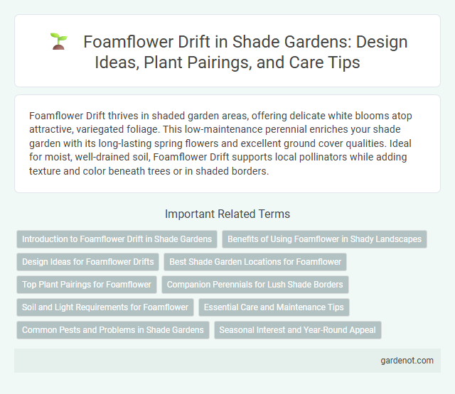 Foamflower Drift in Shade Gardens: Design Ideas, Plant Pairings, and Care Tips