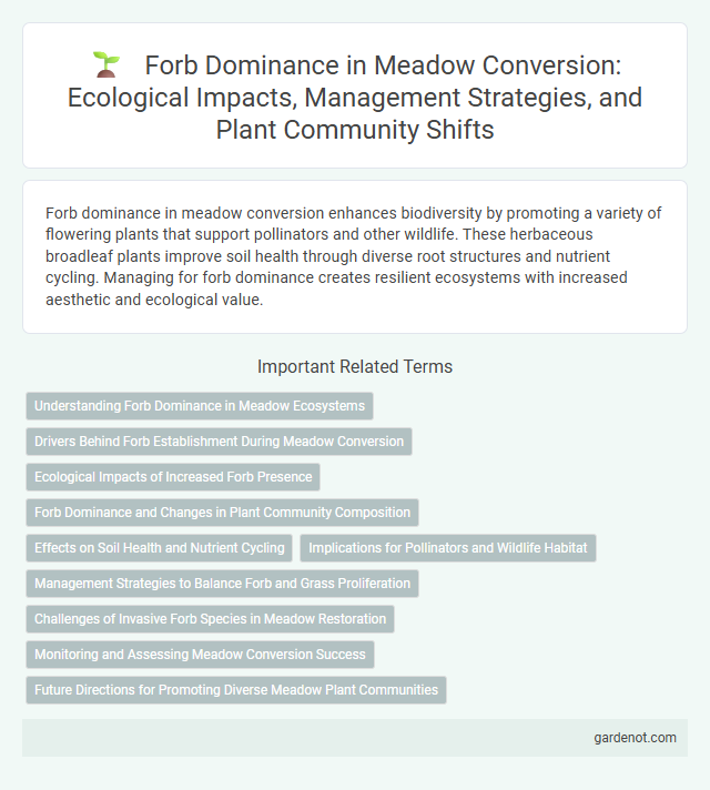 Forb Dominance in Meadow Conversion: Ecological Impacts, Management Strategies, and Plant Community Shifts