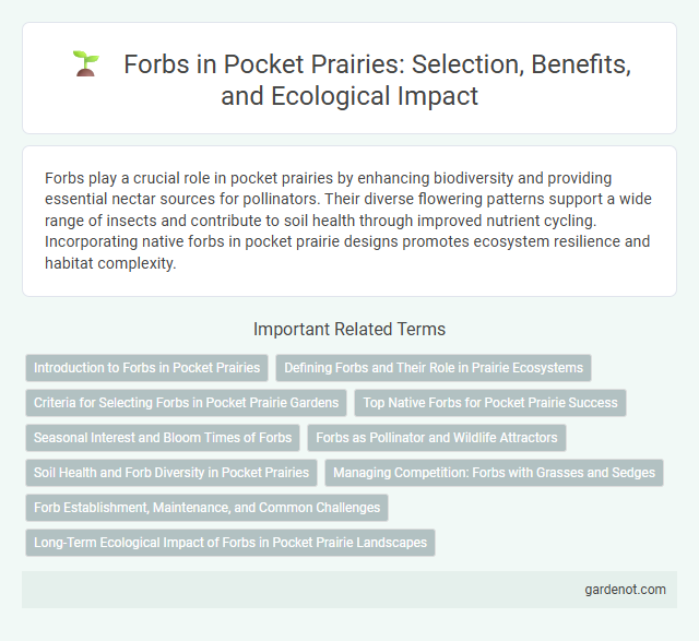 Forbs in Pocket Prairies: Selection, Benefits, and Ecological Impact