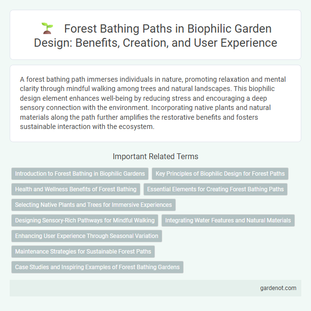 Forest Bathing Paths in Biophilic Garden Design: Benefits, Creation, and User Experience