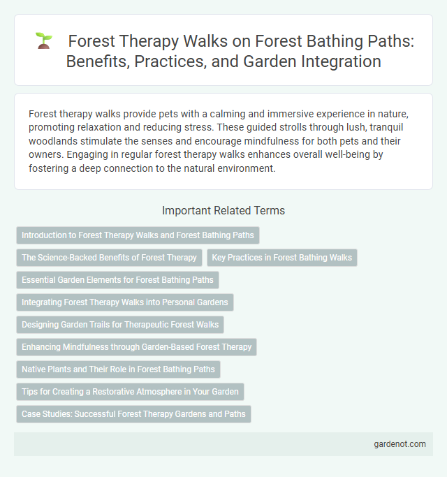 Forest Therapy Walks on Forest Bathing Paths: Benefits, Practices, and Garden Integration