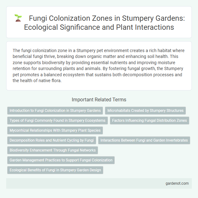 Fungi Colonization Zones in Stumpery Gardens: Ecological Significance and Plant Interactions