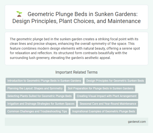 Geometric Plunge Beds in Sunken Gardens: Design Principles, Plant Choices, and Maintenance
