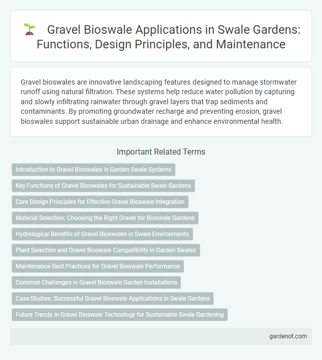 Gravel Bioswale Applications in Swale Gardens: Functions, Design Principles, and Maintenance