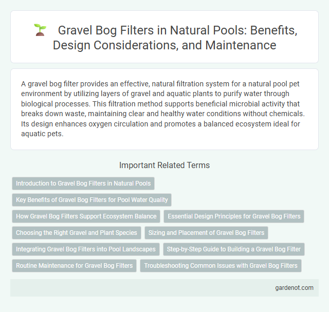 Gravel Bog Filters in Natural Pools: Benefits, Design Considerations, and Maintenance