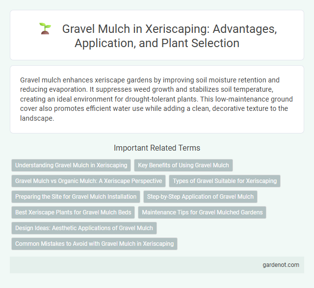 Gravel Mulch in Xeriscaping: Advantages, Application, and Plant Selection
