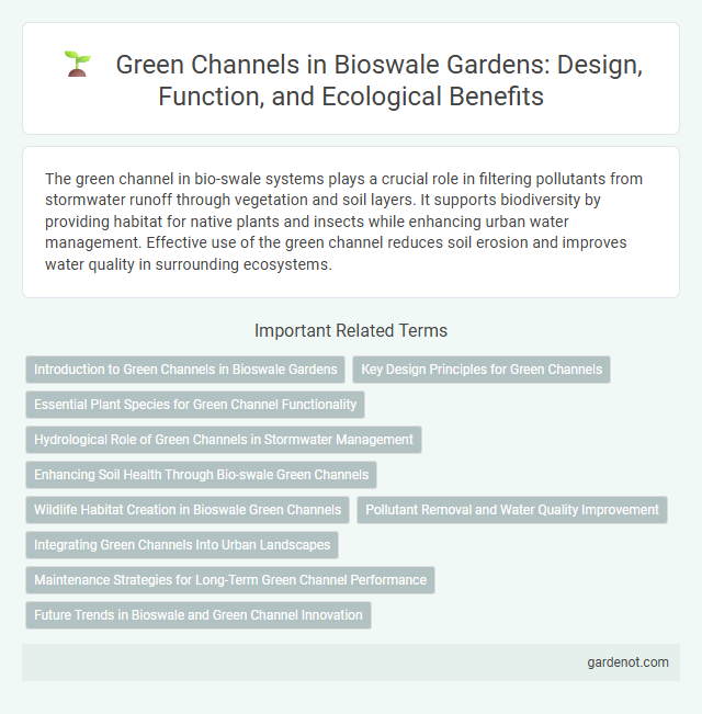 Green Channels in Bioswale Gardens: Design, Function, and Ecological Benefits