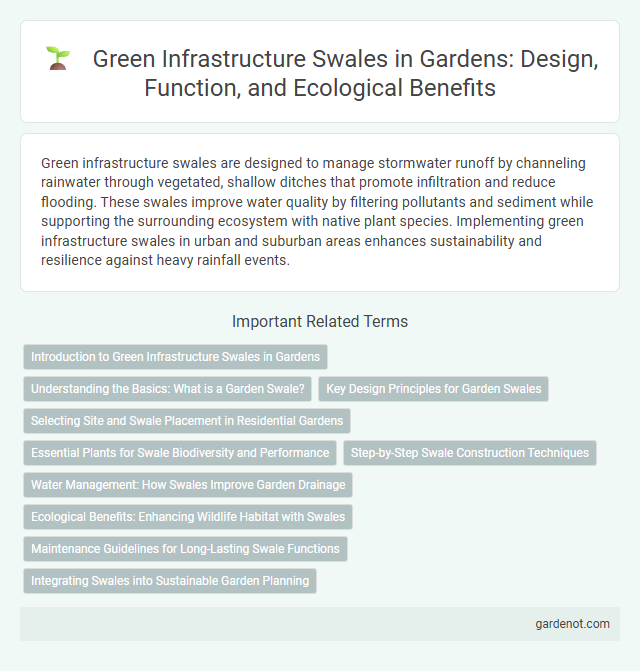Green Infrastructure Swales in Gardens: Design, Function, and Ecological Benefits