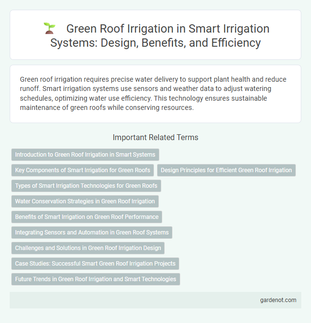 Green Roof Irrigation in Smart Irrigation Systems: Design, Benefits, and Efficiency