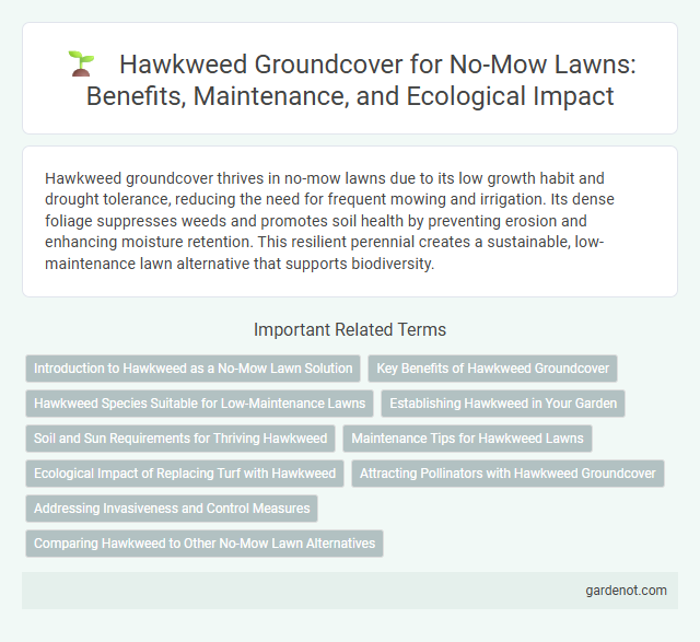 Hawkweed Groundcover for No-Mow Lawns: Benefits, Maintenance, and Ecological Impact