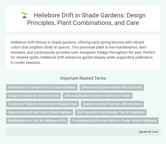 Hellebore Drift in Shade Gardens: Design Principles, Plant Combinations, and Care