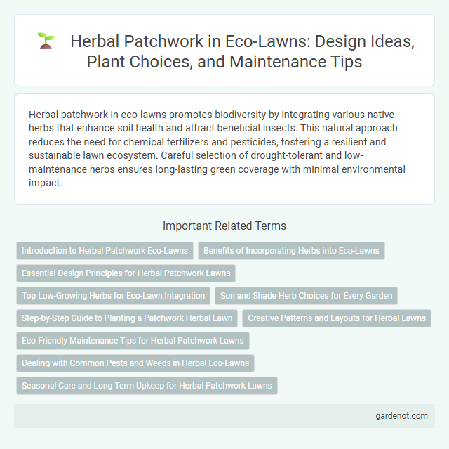 Herbal Patchwork in Eco-Lawns: Design Ideas, Plant Choices, and Maintenance Tips