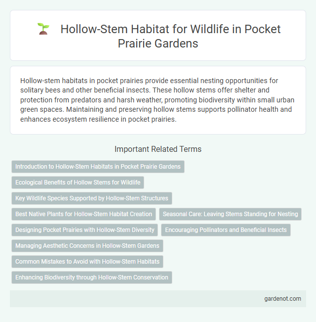 Hollow-Stem Habitat for Wildlife in Pocket Prairie Gardens