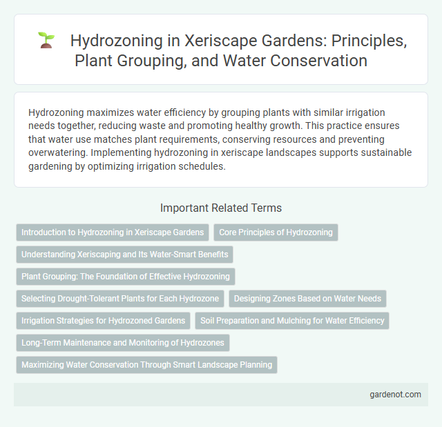 Hydrozoning in Xeriscape Gardens: Principles, Plant Grouping, and Water Conservation