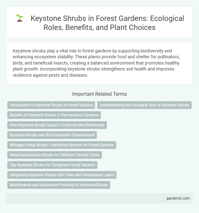 Keystone Shrubs in Forest Gardens: Ecological Roles, Benefits, and Plant Choices