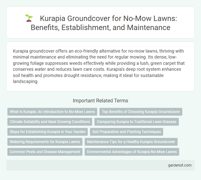Kurapia Groundcover for No-Mow Lawns: Benefits, Establishment, and Maintenance