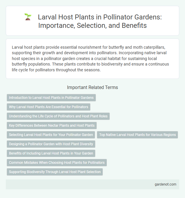 Larval Host Plants in Pollinator Gardens: Importance, Selection, and Benefits