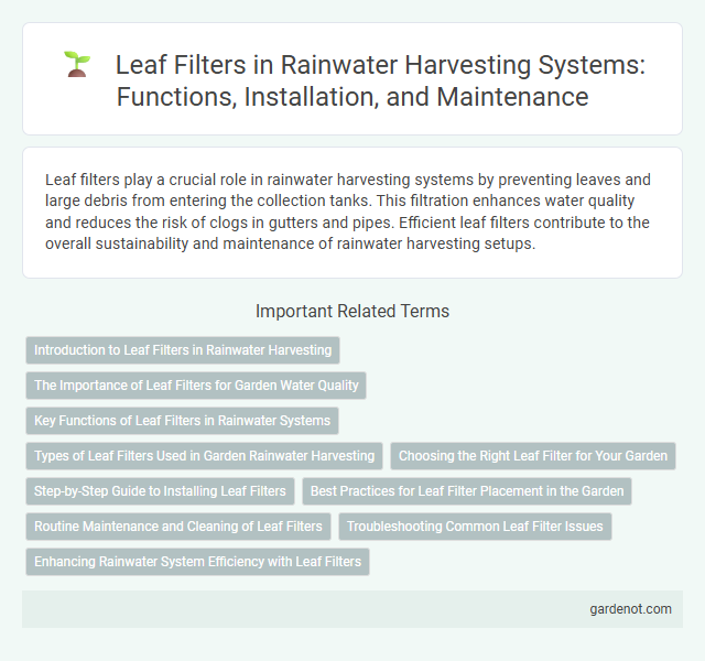 Leaf Filters in Rainwater Harvesting Systems: Functions, Installation, and Maintenance