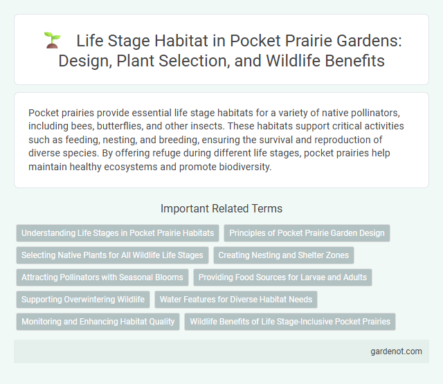 Life Stage Habitat in Pocket Prairie Gardens: Design, Plant Selection, and Wildlife Benefits