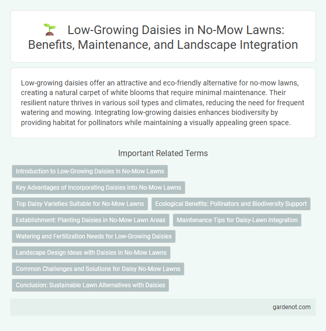 Low-Growing Daisies in No-Mow Lawns: Benefits, Maintenance, and Landscape Integration