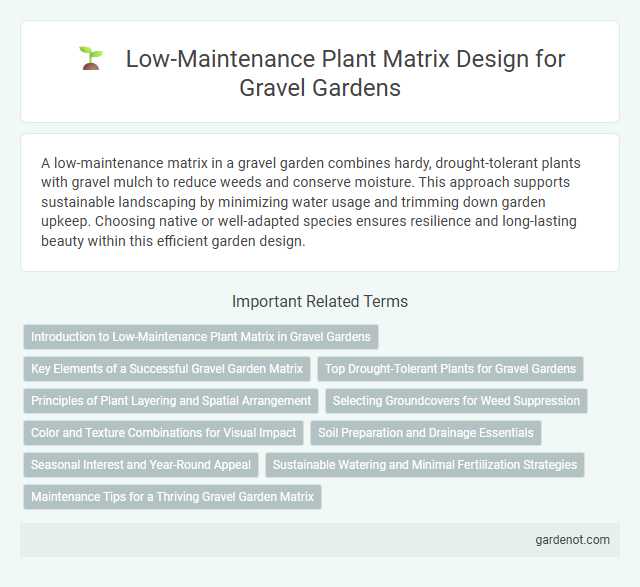 Low-Maintenance Plant Matrix Design for Gravel Gardens