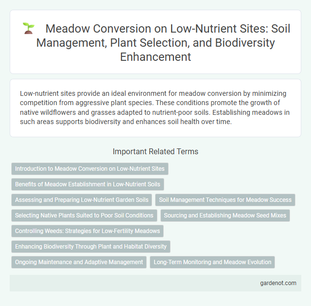Meadow Conversion on Low-Nutrient Sites: Soil Management, Plant Selection, and Biodiversity Enhancement