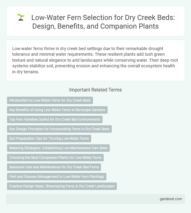 Low-Water Fern Selection for Dry Creek Beds: Design, Benefits, and Companion Plants