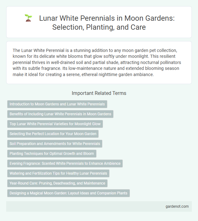 Lunar White Perennials in Moon Gardens: Selection, Planting, and Care