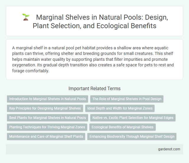 Marginal Shelves in Natural Pools: Design, Plant Selection, and Ecological Benefits
