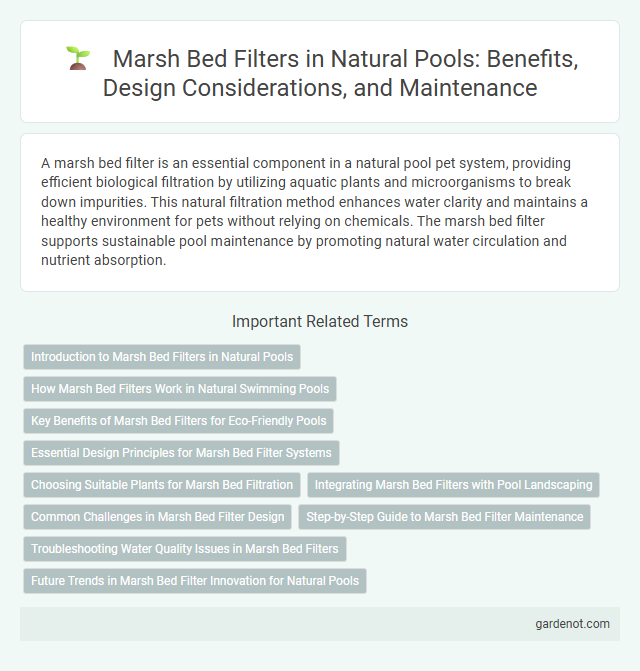 Marsh Bed Filters in Natural Pools: Benefits, Design Considerations, and Maintenance