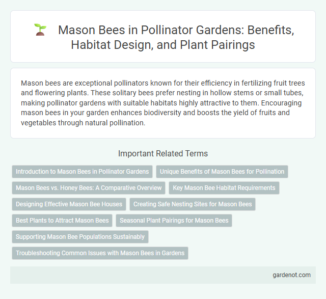 Mason Bees in Pollinator Gardens: Benefits, Habitat Design, and Plant Pairings