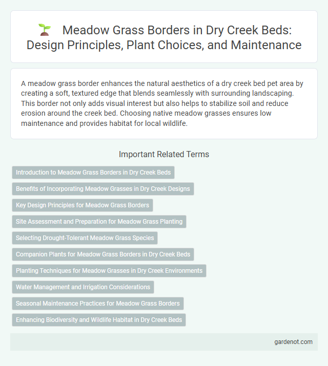 Meadow Grass Borders in Dry Creek Beds: Design Principles, Plant Choices, and Maintenance