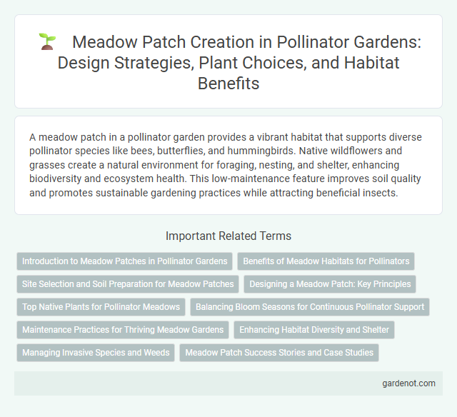 Meadow Patch Creation in Pollinator Gardens: Design Strategies, Plant Choices, and Habitat Benefits