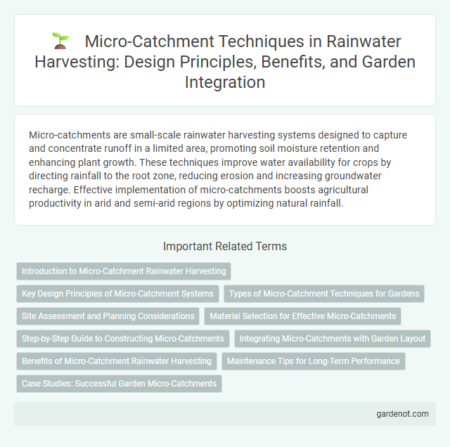 Micro-Catchment Techniques in Rainwater Harvesting: Design Principles, Benefits, and Garden Integration