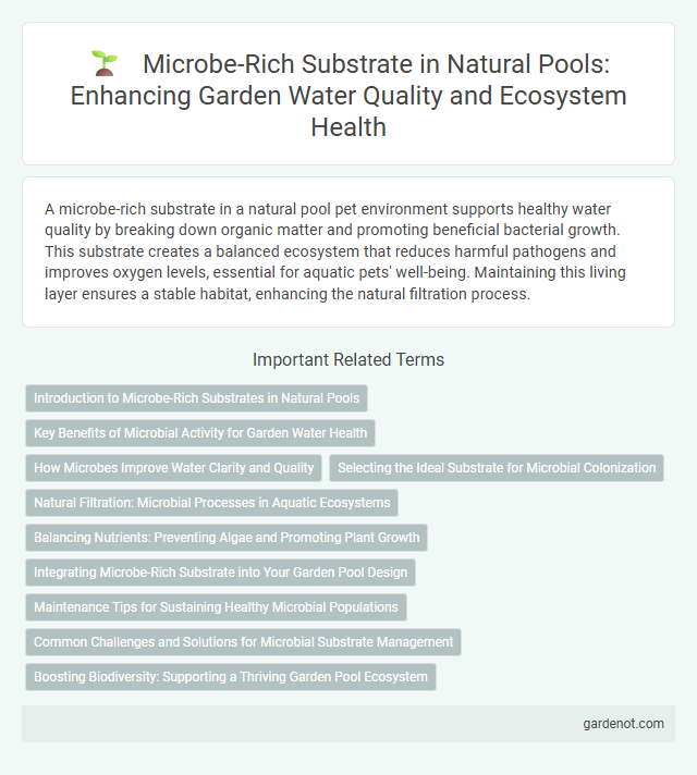Microbe-Rich Substrate in Natural Pools: Enhancing Garden Water Quality and Ecosystem Health