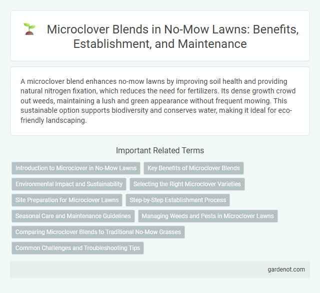 Microclover Blends in No-Mow Lawns: Benefits, Establishment, and Maintenance