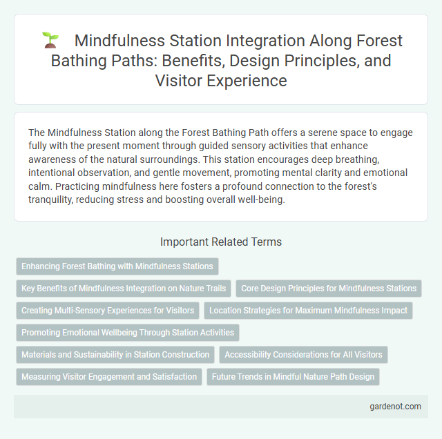 Mindfulness Station Integration Along Forest Bathing Paths: Benefits, Design Principles, and Visitor Experience