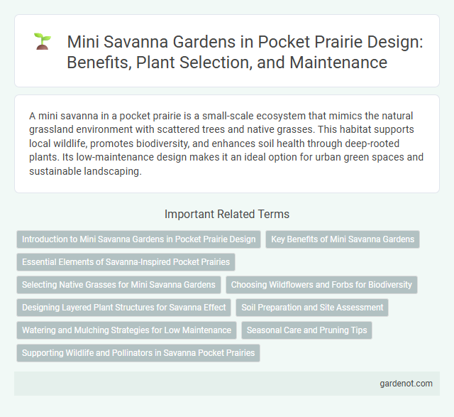 Mini Savanna Gardens in Pocket Prairie Design: Benefits, Plant Selection, and Maintenance