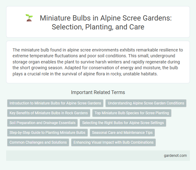 Miniature Bulbs in Alpine Scree Gardens: Selection, Planting, and Care