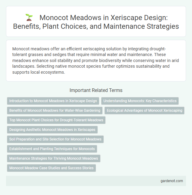 Monocot Meadows in Xeriscape Design: Benefits, Plant Choices, and Maintenance Strategies