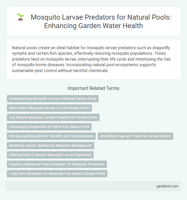Mosquito Larvae Predators for Natural Pools: Enhancing Garden Water Health