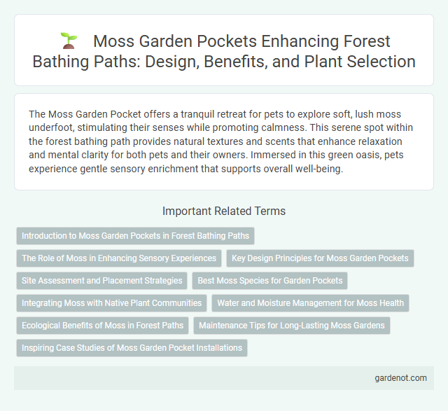 Moss Garden Pockets Enhancing Forest Bathing Paths: Design, Benefits, and Plant Selection