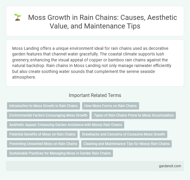 Moss Growth in Rain Chains: Causes, Aesthetic Value, and Maintenance Tips