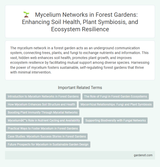 Mycelium Networks in Forest Gardens: Enhancing Soil Health, Plant Symbiosis, and Ecosystem Resilience