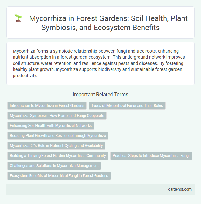 Mycorrhiza in Forest Gardens: Soil Health, Plant Symbiosis, and Ecosystem Benefits